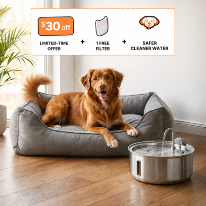 Self-Cleaning Filtered Water Bowl