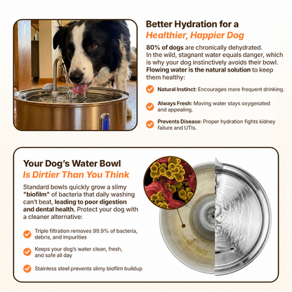 Self-Cleaning Filtered Water Bowl