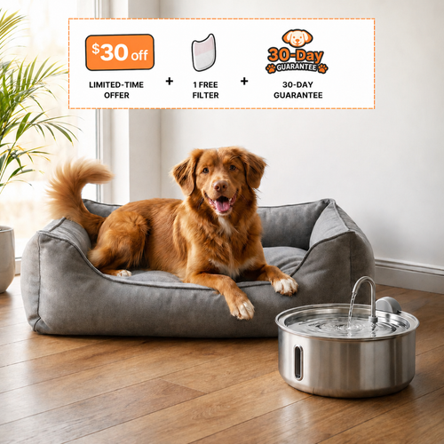 Self-Cleaning Filtered Water Bowl 4L